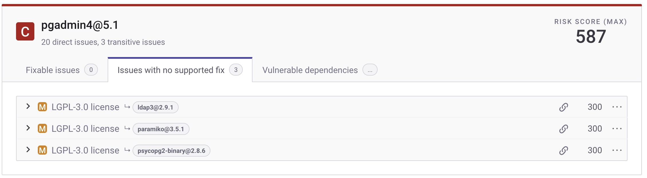 License issue Card - Snyk web UI